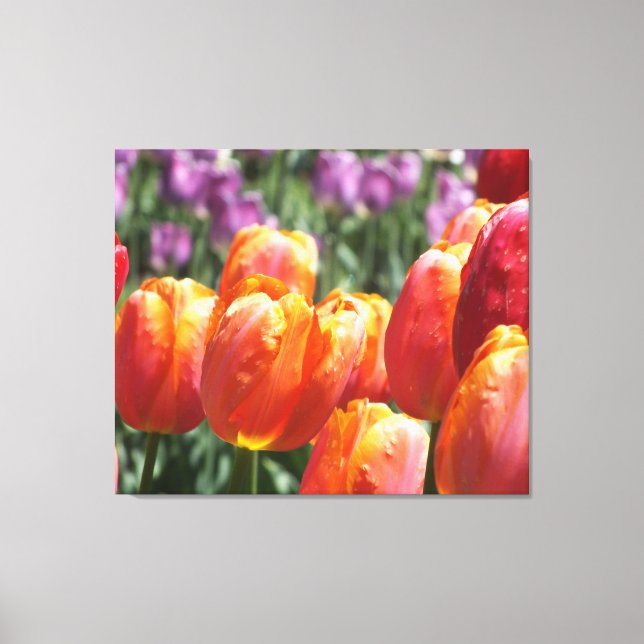 Orange Tulips Wrapped Canvas Print (Front)