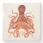 Orange Vintage Octopus Illustration