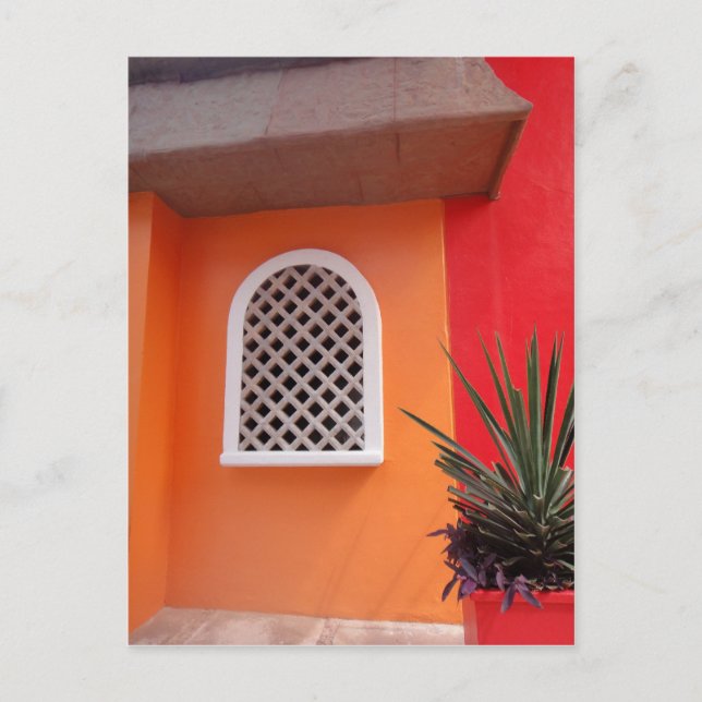 Orange Wall Mexico Postcard (Front)