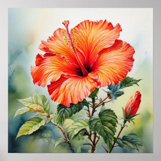 Orange Water-Colour Hibiscus Poster Print (Front)