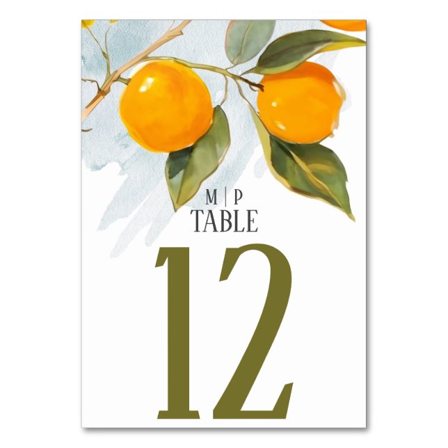 Orange watercolor theme Bright colors Table Number (Front)
