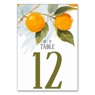 Orange watercolor theme Bright colours Table Number