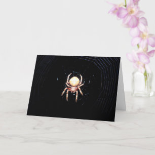 Orange Wheelweaving Spider Card