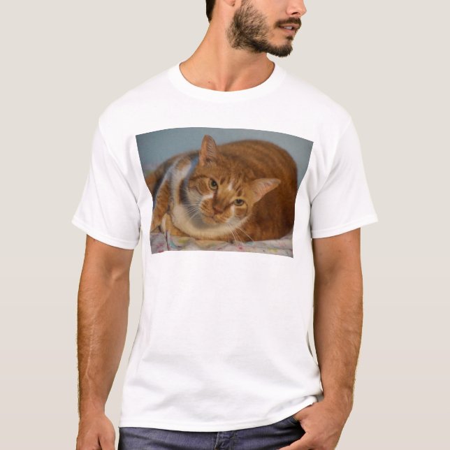Orange & White Cat T-Shirt (Front)