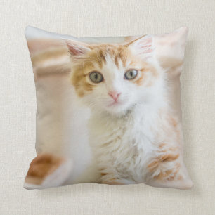 Orange & White Kitten Throw Pillow
