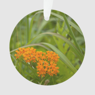 Orange Wildflowers Ornament