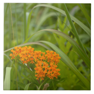 Orange Wildflowers Photo Ceramic Tile