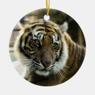 Orange with black stripes Bengal tiger photo Ceramic Ornament