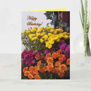 Orange, Yellow and Pink Mums, Happy Birthday! Card