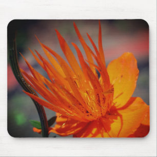 Orange Yellow Flower Petals Mouse Pad