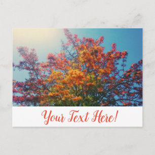 Orange Yellow Leaves Autumn Tree Postcard