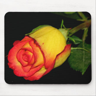Orange-Yellow  Rose Mouse Pad