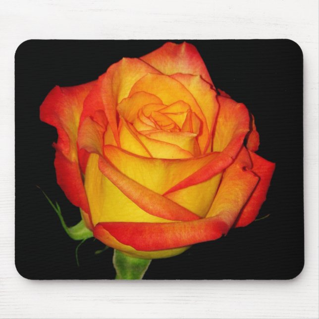 Orange-Yellow  Rose Mouse Pad (Front)