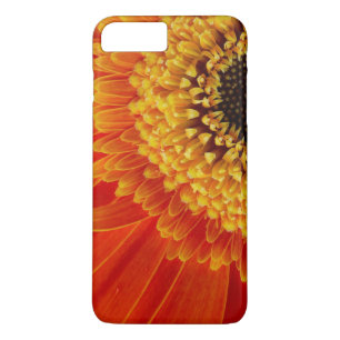 Orange Yellow Sun Flower Photo Image iPhone 8 Plus/7 Plus Case