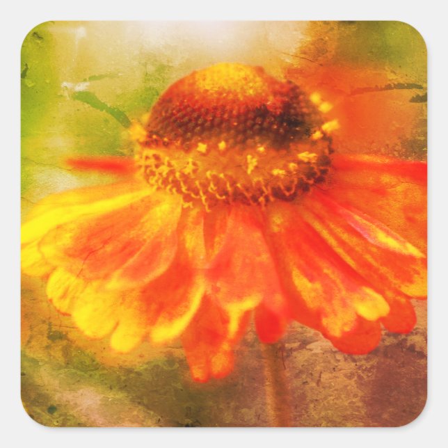 Orange Yellow Zinnia Flower Art Square Sticker (Front)
