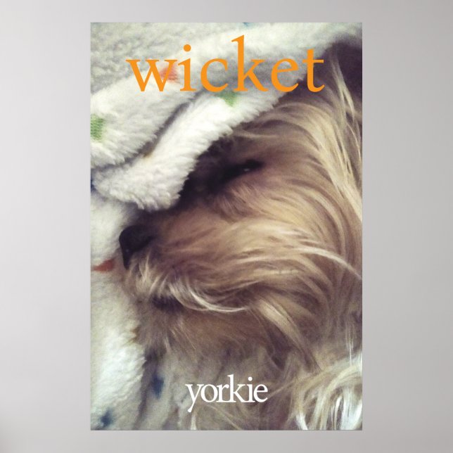 Orange Yorkie Name & Photo Poster (Front)