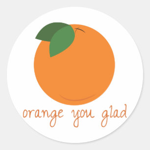 Orange You Glad Classic Round Sticker