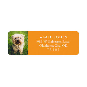 Orange Your Pet Photo Custom Return Address Label