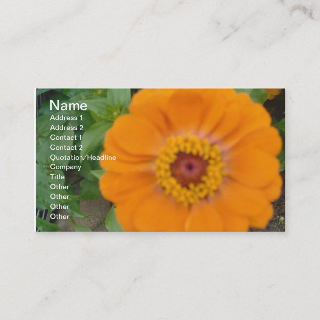Orange Zinnia Business Card (Front)