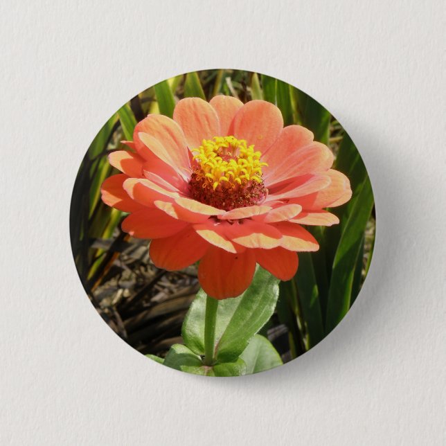 Orange Zinnia Flower Button (Front)