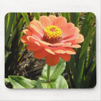 Orange Zinnia Flower Mousepad