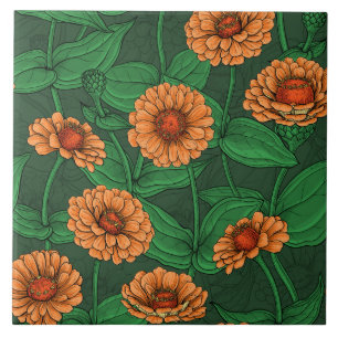 Orange Zinnia flowers, green leaves on dark green Tile