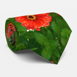 Orange zinnia, orange flowers, red flowers tie