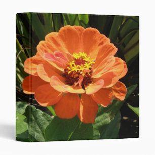 Orange Zinnia Photograph Album Binder