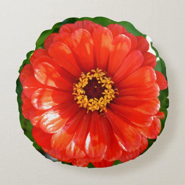 Orange Zinnia Round Pillow (Front)
