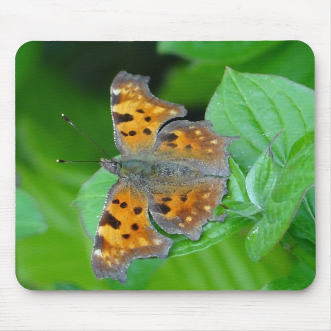 Oranger Schmetterling Mouse Pad (Front)