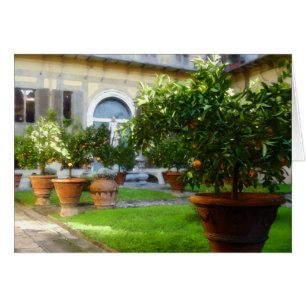 Orangerie