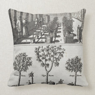 Orangery, from 'De Nederlandze Hesperides' by Jan Throw Pillow