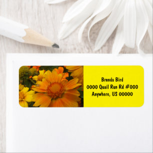 Oranges And Lemons Blanketflower With Crab Spider