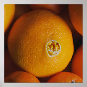 Oranges / Foodie kitchen poster