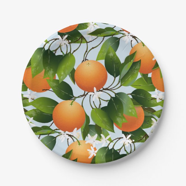 Oranges Fruit Citrus Cocktail Party Paper Plate (Front)
