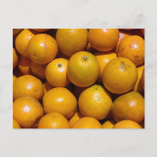 Oranges fruit Florida market orange  Postcard (Front)