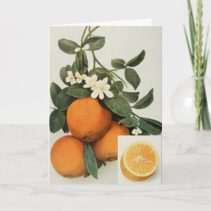 ORANGES greeting card