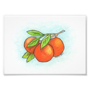 Oranges Illustration Photo Print
