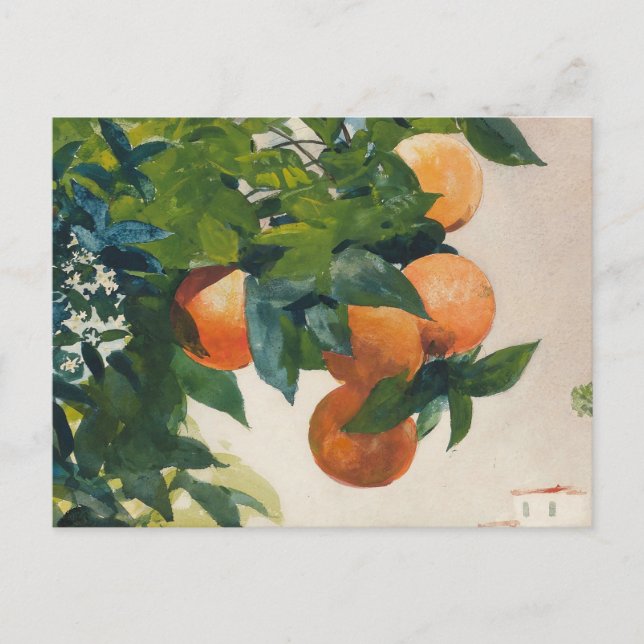Oranges on a Branch | Winslow Homer Postcard (Front)