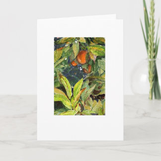 Oranges on the tree pencil  enhanced extra dry card