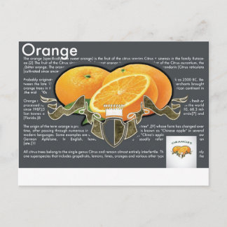 Oranges Postcard