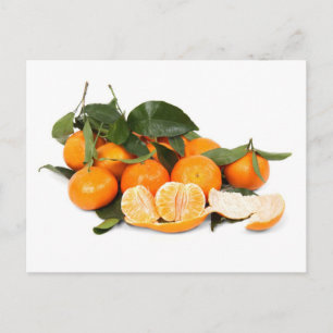 Oranges Postcard