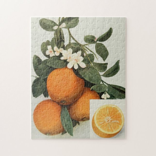 ORANGES puzzle (Vertical)