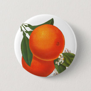 Oranges Vintage Crate Art 2 Inch Round Button