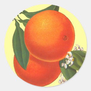 Oranges Vintage Crate Art Sticker