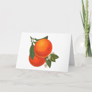 Oranges Vintage Crate Blank Art Card