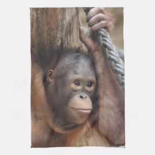 OrangUtan 002 Kitchen Towel