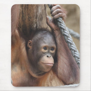 OrangUtan 002 Mouse Pad