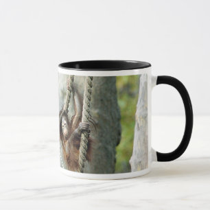 Orangutan #1/Ringer mug