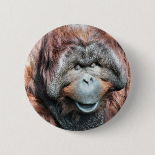 ORANGUTAN 2 INCH ROUND BUTTON